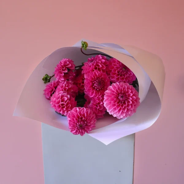 hot pink dahlia flowers wrapped bouquet