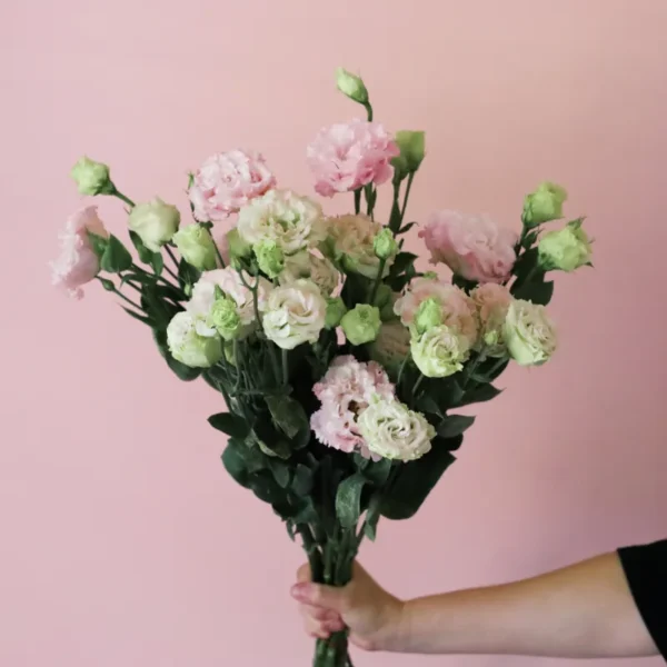 Blush Lisianthus Flowers